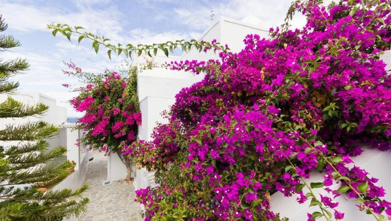 Unique Galini Oia - Adults Only Aparthotel Bagian luar foto